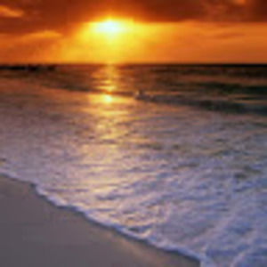 Meet your Posher, Janette